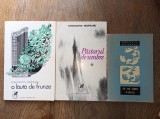 CONSTANTIN NISIPEANU ( dedicatii * semnaturi ) Lot 3 carti * SA NE IUBIM VISELE, O LAUTA DE FRUNZE, PASTORUL DE UMBRE