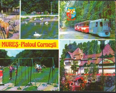 CPI B12330 CARTE POSTALA - TARGU MURES. PLATOUL CORNESTI, MOZAIC foto