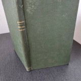 Manastirea Tismana - Alexandru Stefulescu