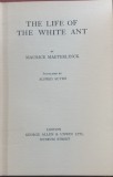 The life of the white ant (Viata unei furnici albe- carte veche in engleza)- Maurice Maeterlink