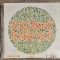 cd color blind sway