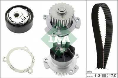 INA 530 0663 30 Set pompa apa + curea dintata foto