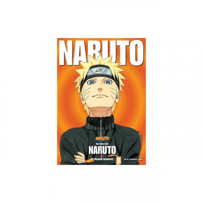 Naruto Illustration Book foto