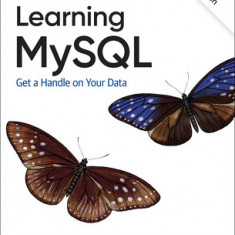Learning MySQL: Get a Handle on Your Data