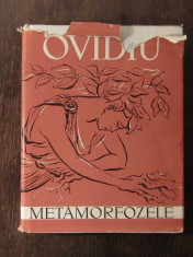 Ovidiu - Metamorfozele(ed. cartonata , ilustratii Aurel Stoicescu ) foto