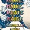 Maine, Maine, Poate Maine, Gabrielle Zevin - Editura Bookzone