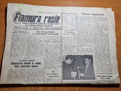 flamura rosie 8 septembrie 1962-mina ponor,bocsa,resita foto