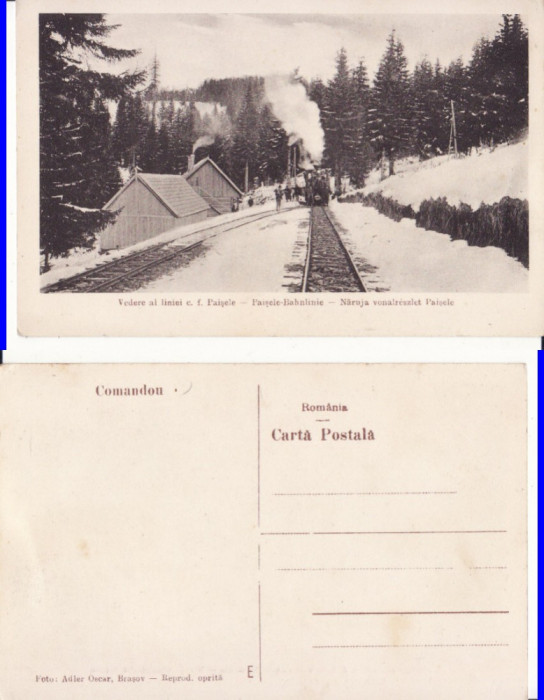 Comandau (Komando) - Covasna -tren forestier Paisele -Naruja- rara