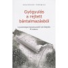 Gy&oacute;gyul&aacute;s a rejtett b&aacute;ntalmaz&aacute;sb&oacute;l - A pszichol&oacute;giai b&aacute;ntalmaz&aacute;sb&oacute;l val&oacute; fel&eacute;p&uuml;l&eacute;s 6 szakasza - Shannon Thomas