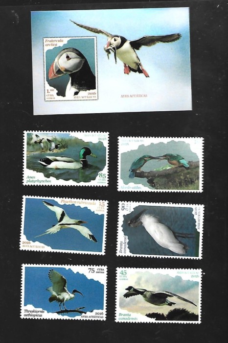 cuba pasari mnh