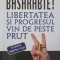 BASARABIE! LIBERTATEA SI PROGRESUL VIN DE PESTE PRUT-SERGIU ION CHIRCA-226543