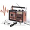 Radio portabil, cu MP3 Player, USB, SD card, AM/FM/SW1/SW2, alimentare baterii/acumulator, putere 3W, raza semnal 10m, maro/negru