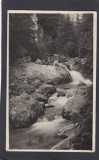 Carte postala Romania Sinaia - CASCADA IALOMICIOARA