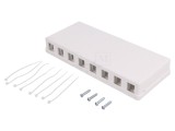 Soclu RJ45 Keystone Alb Murale Mamă