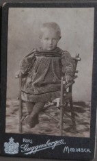 Foto veche CDV atelier Hans Guggenberger / Medias / Mediasch / copii sec XIX