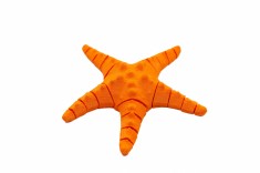 Flexi Starfish - Portocaliu foto