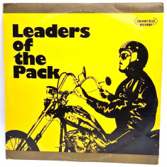3 x LP Various – Leaders Of The Pack 1975 NM / VG+ Broockville SUA 1975 rock