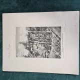 Plansa Fotografica (26x33cm) an 1903 , CASCADA PISOAIA , VIDRA , MUNTII APUSENI , ALBA - provine din Anuar XXIII al Societatii Carpatine Ardelene