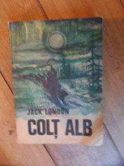 Colt Alb - Jack London ,538101 foto