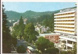 Carte Postala veche - Sinaia , necirculata