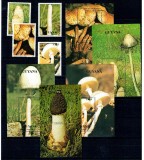 Guyana 1990 - Ciuperci, serie si colite neuzate