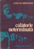 Calatorie neterminata