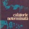 Calatorie neterminata
