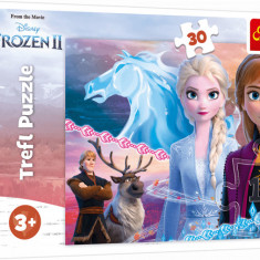 Puzzle carton 30 piese,Frozen2 The courage of the sisters,+3 ani