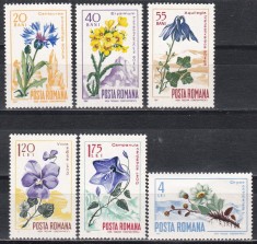 Rom&acirc;nia 1967, LP 649 - Flora carpatina, MNH