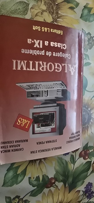 Mihaela Veronica Stan Algoritmi clasa 9