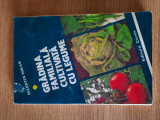 GRADINA FAMILIALA CULTIVATA CU LEGUME &ndash; VALENTIN VOICAN (1982)