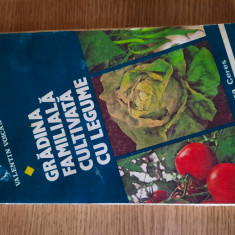 GRADINA FAMILIALA CULTIVATA CU LEGUME – VALENTIN VOICAN (1982)