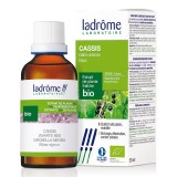 Tinctura Bio de Coacaz Negru, 50ml, Ladrome Laboratoire