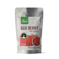 Goji Berry Raw Obio 250gr