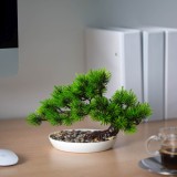 Decor plante artificiale - pin negru japonez - 25 x 18 cm Best CarHome