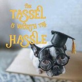 Tassel Was Worth the Hassle