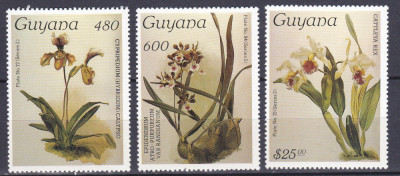 DB1 Flora Orhidee 1987 Guyana 3 v. MNH foto