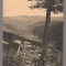 CPIB 23954 - CARTE POSTALA - ROCA SURSA SI VEDERE VALLEE de MUNSTER, FRANTA, CIRCULATA, 1916, STAMPILE