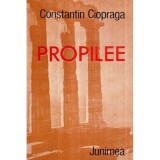 Constantin Ciopraga - Propilee - Carti si destine - 121090