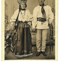 4544 - RUPEA, Brasov, ETHNIC Family, Romania - old postcard - unused - 1916