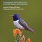 Wildlife of Ecuador: A Photographic Field Guide to Birds, Mammals, Reptiles, and Amphibians
