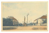 219 - JIMBOLIA, Timis, Market, Romania - old postcard - used - 1913, Circulata, Printata