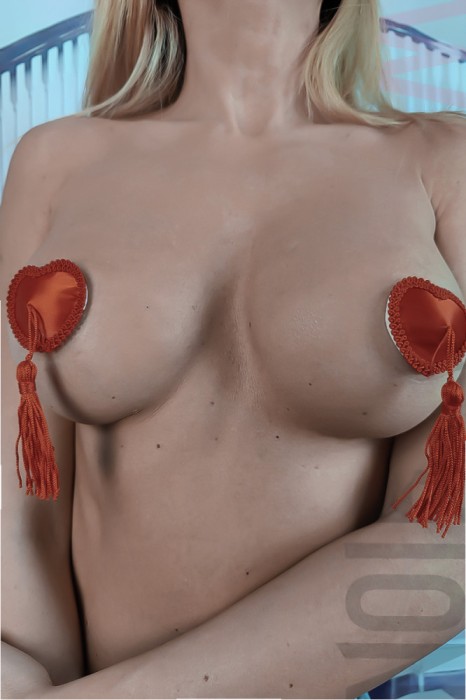 TE27-3 Accesorii fetish pentru sani cu broderie si cucurei