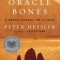 Oracle Bones: A Journey Through Time in China