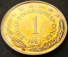 Moneda 1 DINAR - RSF YUGOSLAVIA, anul 1981 *cod 906 - ultimul an de batere foto