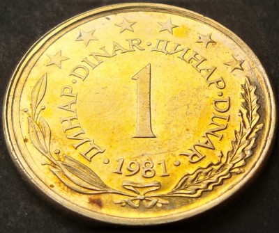 Moneda 1 DINAR - RSF YUGOSLAVIA, anul 1981 *cod 906 - ultimul an de batere foto