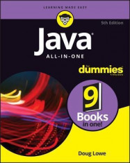 Java All-In-One for Dummies foto