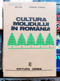 Cultura molidului in Romania - Ion Vlad si Laurentiu Petrescu