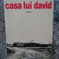 Dumitru Nicodim - Casa lui David