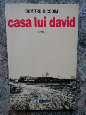 Dumitru Nicodim - Casa lui David foto